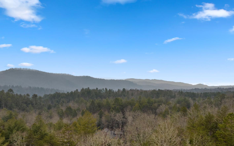 13 Camden Way - Photo 3 of 50