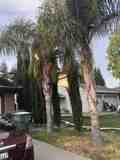 4637 Castle Cary Ln #NA - Photo 1 of 1