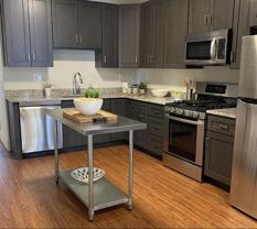 71 Adams St #1 - Photo 1 of 1