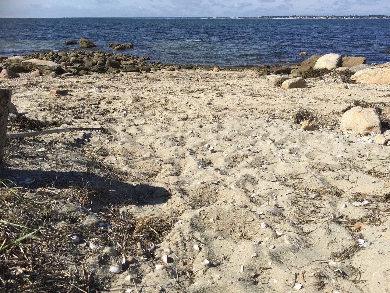 29 Silver Shell Beach Dr #1 - Photo 4 of 14