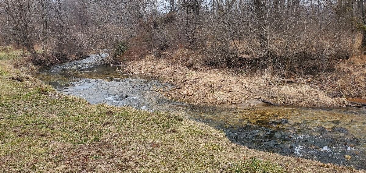 11018 Powell Rd #1 - Photo 2 of 27