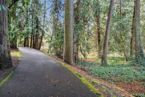 featured image of 2920 Falk Rd