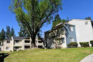 2225 Pumalo St - Photo 1 of 1