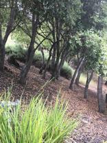 Hurst Highland Village - Photo 1 of 1