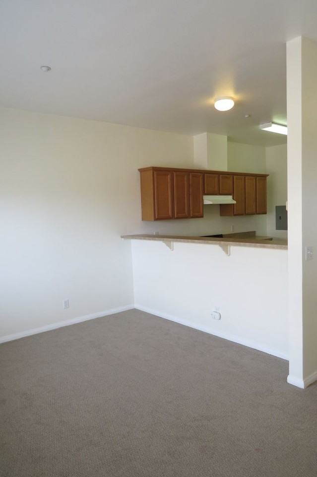 T200-300-Placement Only - Photo 2 of 16