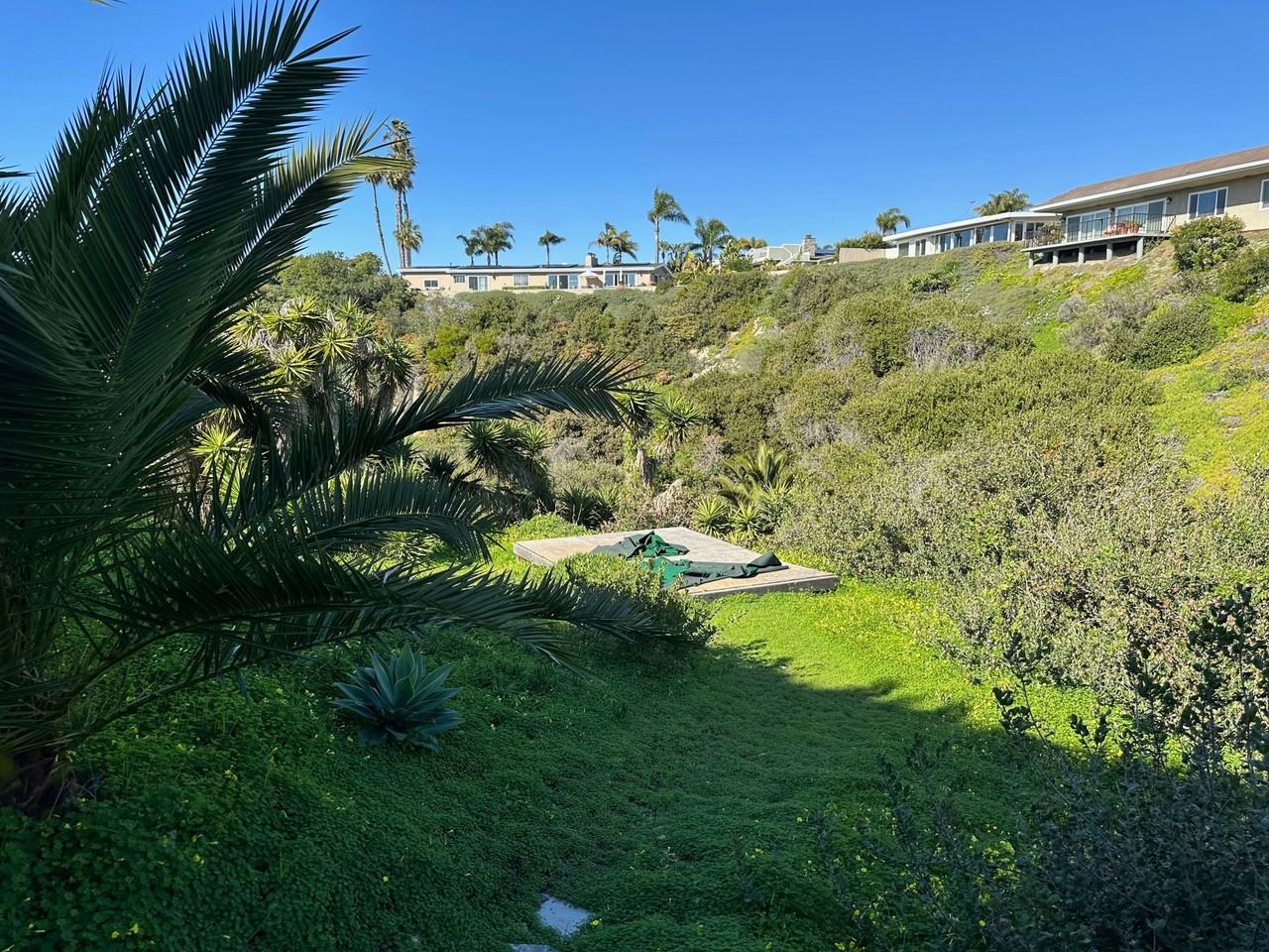 MON250 - Photo 2 of 2