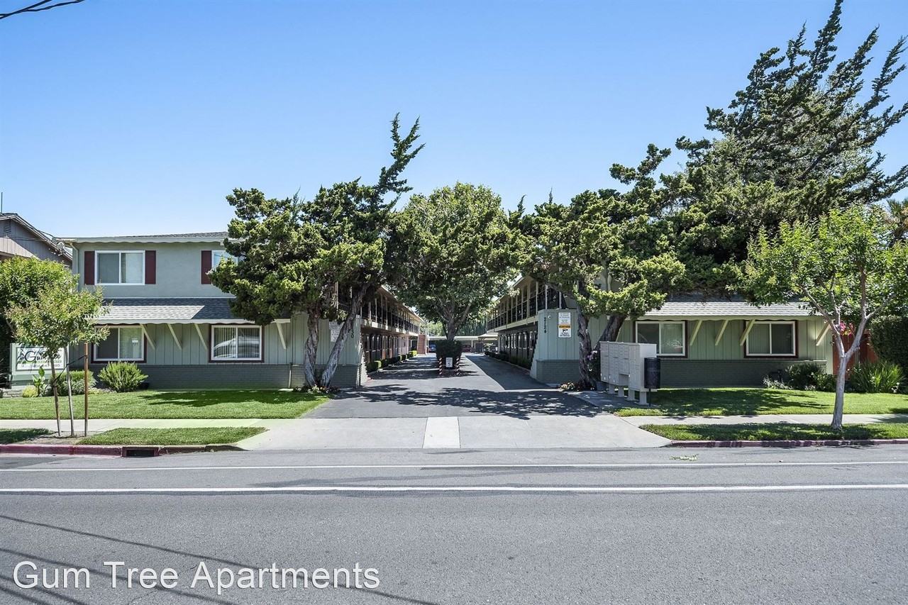 Gum Tree Apartments - Photo 2 of 31