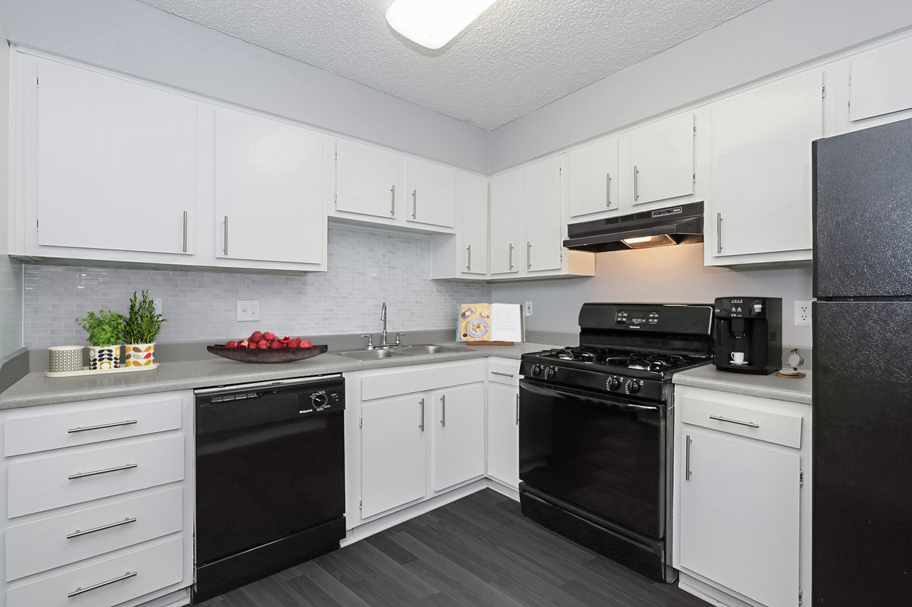 The Social Apartments - Photo 7 of 50