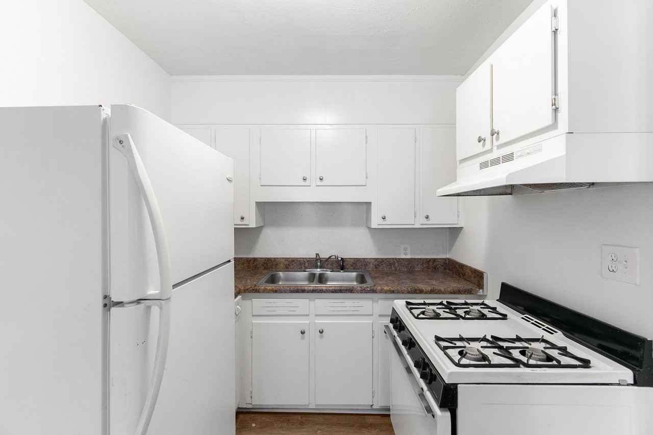 The Ivy - Photo 2 of 18