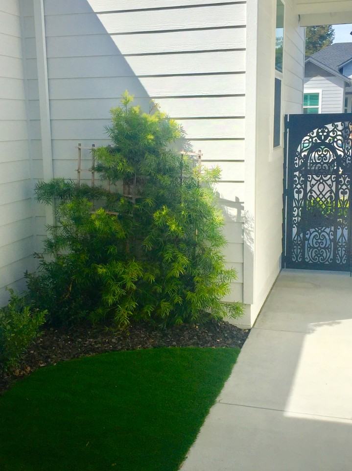 352 Graciela Dr #NA - Photo 5 of 30