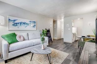 625 South Forest Street - Photo 1 of 1