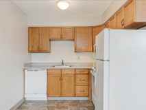 Shamrock - Photo 1 of 1