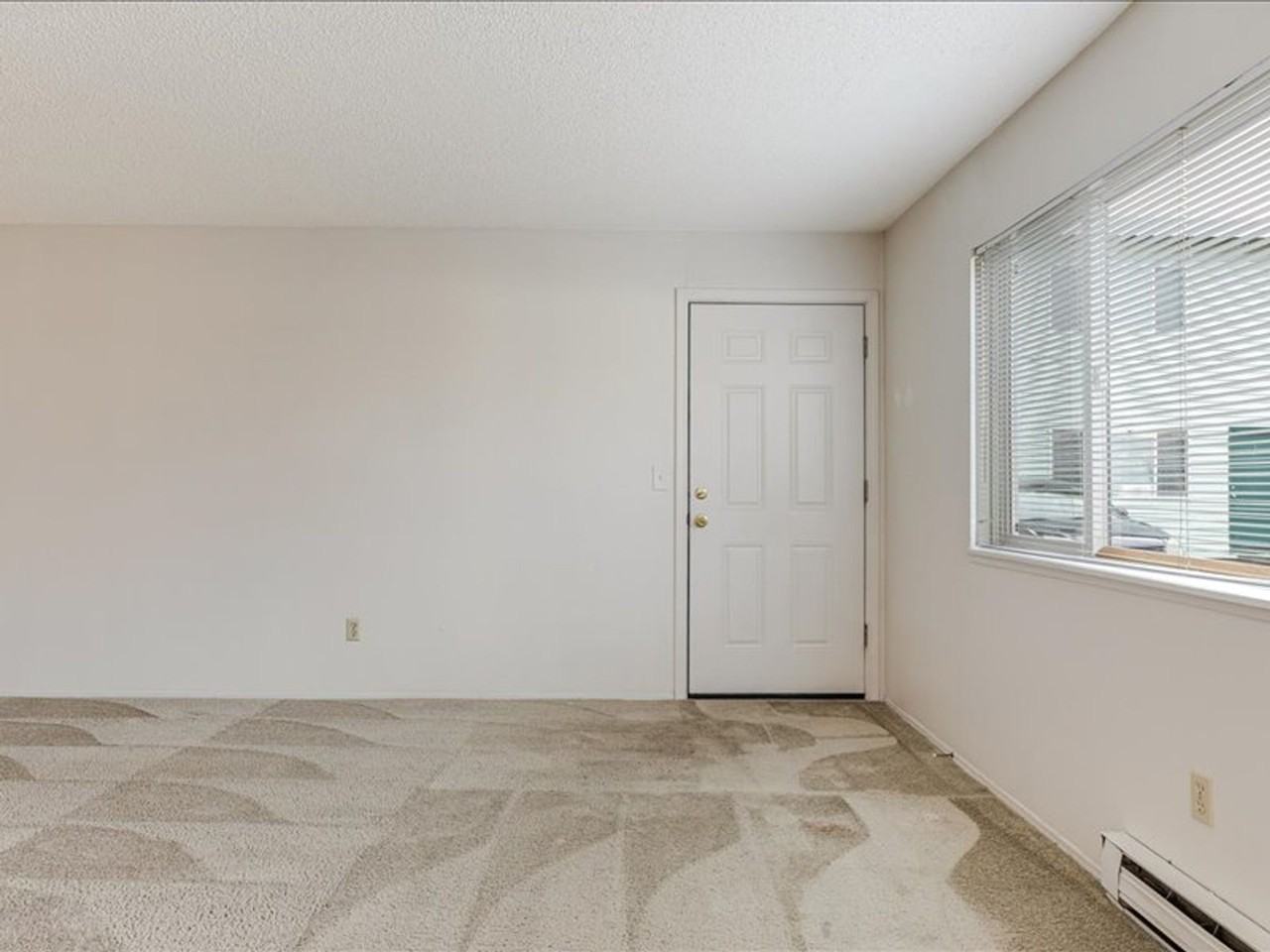 Shamrock - Photo 4 of 14