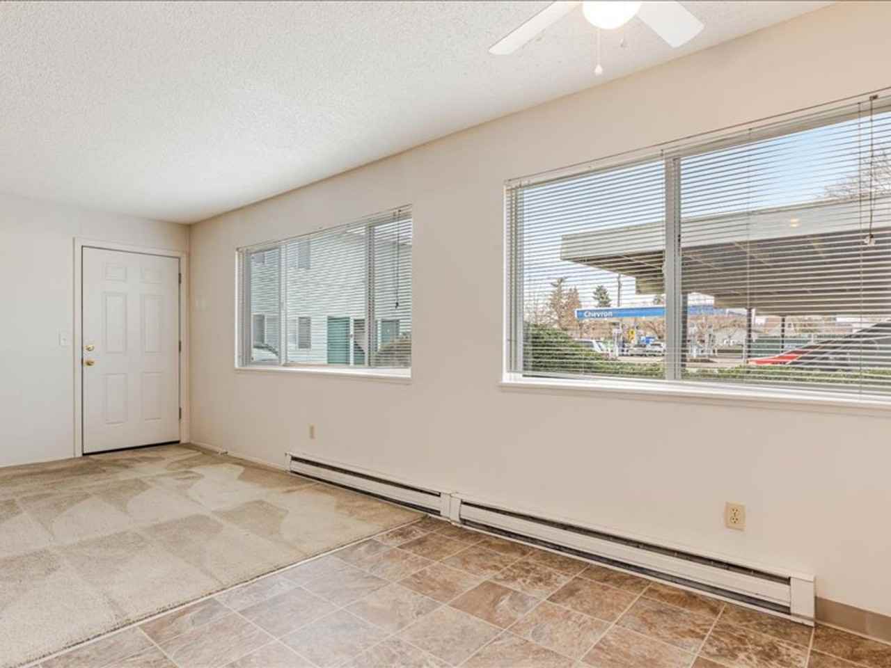 Shamrock - Photo 5 of 14