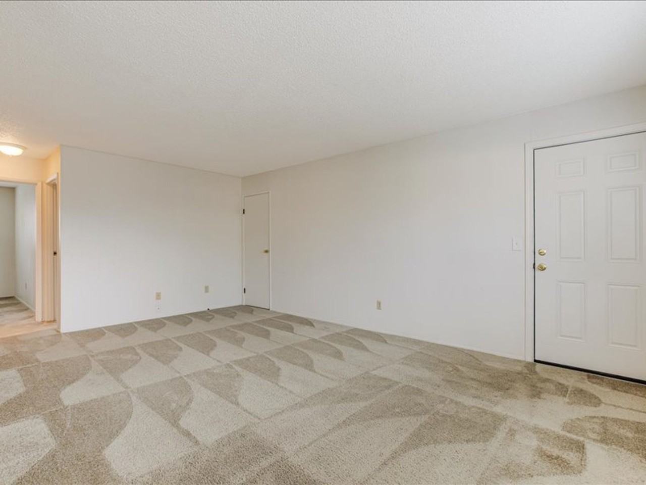 Shamrock - Photo 6 of 14