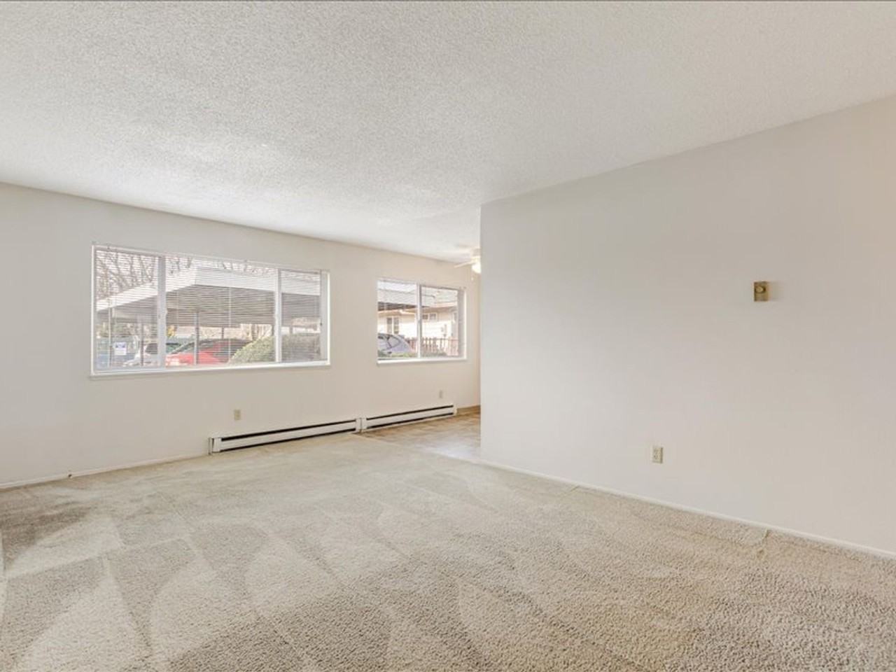 Shamrock - Photo 7 of 14