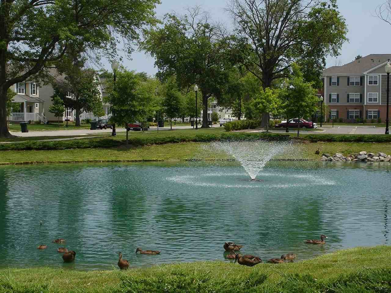 Sinclair Commons - Photo 3 of 42