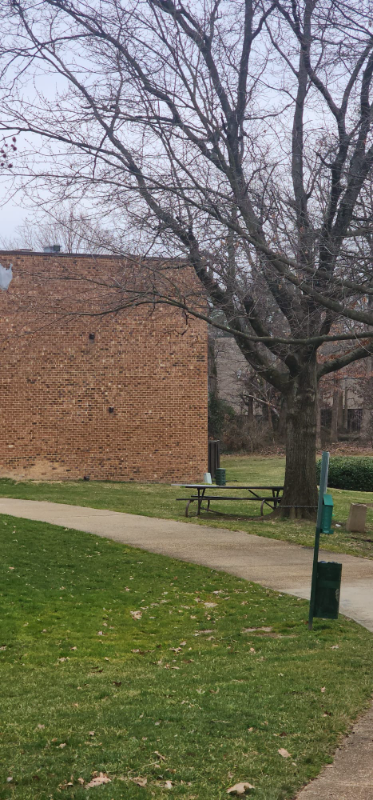 8463 Greenbelt Rd #202 - Photo 3 of 32