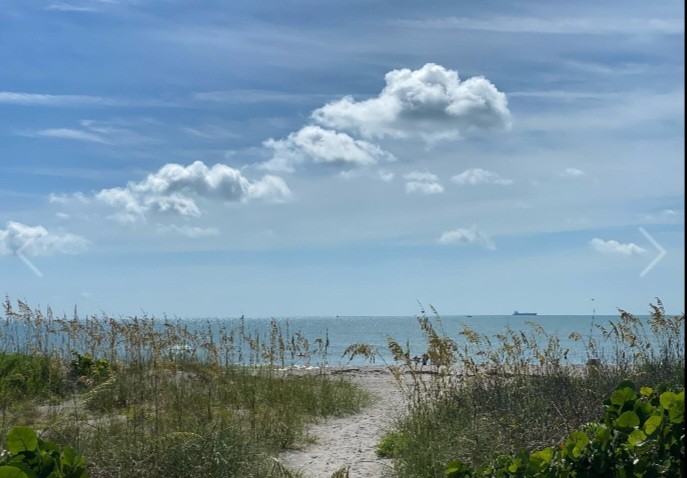 22 Tulip Ave - Photo 2 of 5