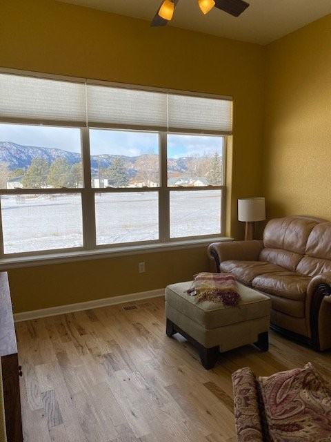 363 Vista Montana Ln - Photo 3 of 22