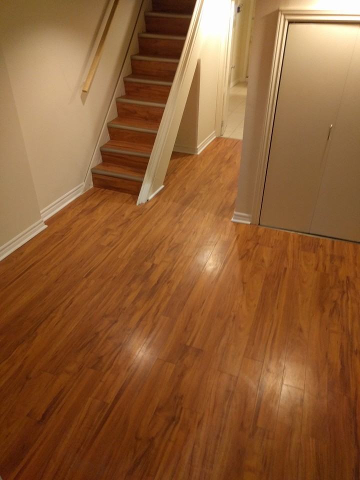 507 Pape Avenue #bsmt - Photo 3 of 15
