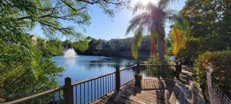 11901 4th St N #6305 - Photo 1 of 1