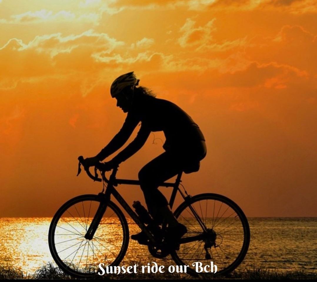 401 Sea Breeze Apts LLC - Photo 5 of 14