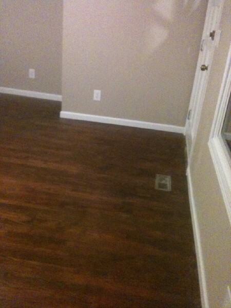 1714 Albert Ave, Knoxville, TN 37917 4 Bedroom House for 1,500/month