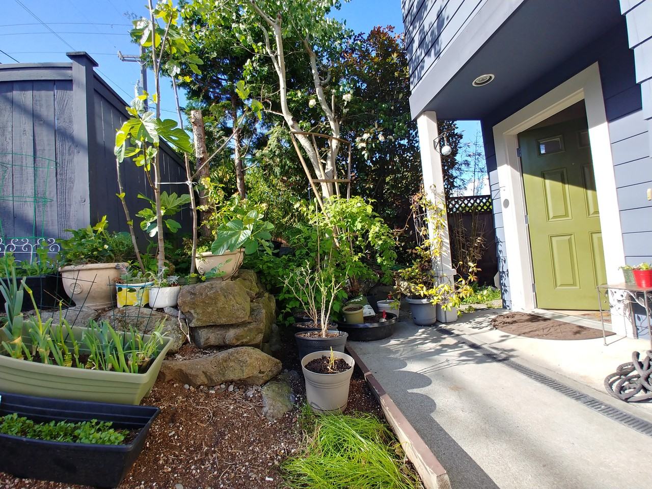4505 40th Ave Sw #NA - Photo 3 of 25