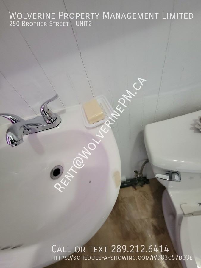 250 Brother Street #2 - Photo 7 of 24