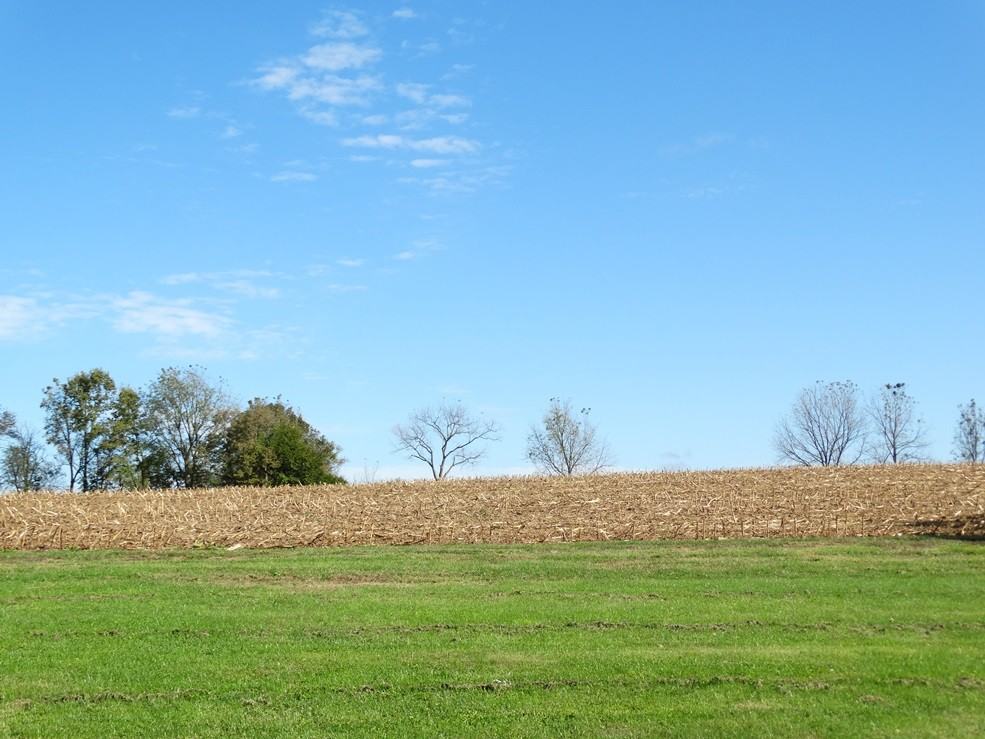 3945 Conrad Weiser Pkwy - Photo 3 of 26