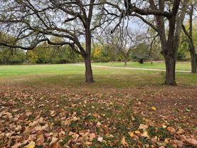 Briar Park II - Photo 1 of 1
