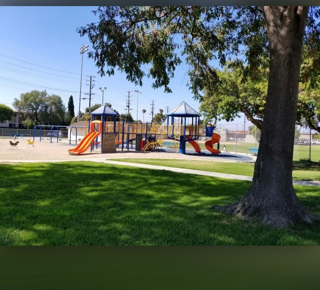 NEECE - Photo 4 of 20