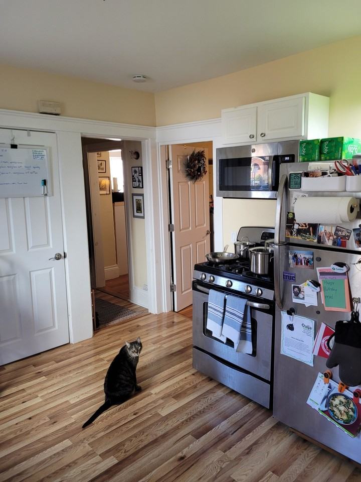 7 Craigie Ter #1 - Photo 6 of 13