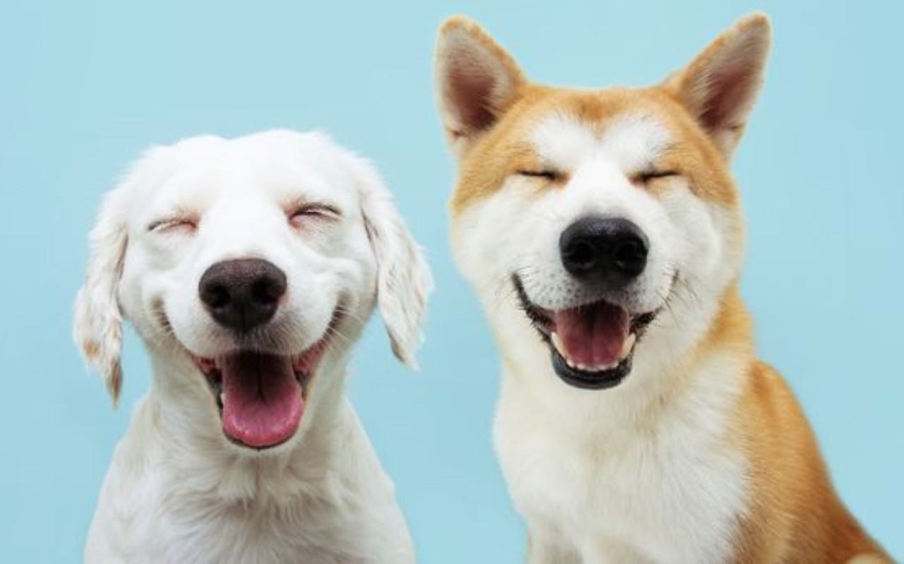 2431 N Humboldt St #NA - Photo 3 of 26