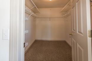 KINGSTON GREEN - Photo 1 of 1