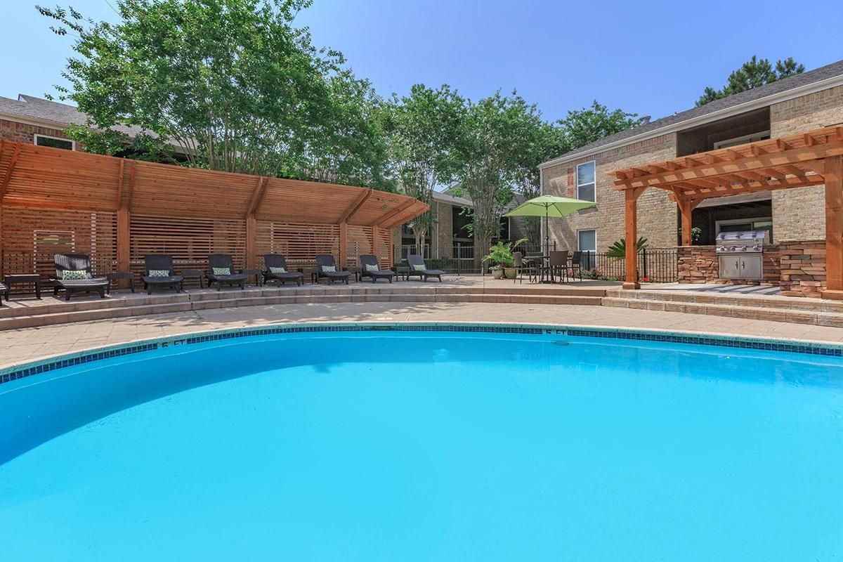 Mustang on the Trail - Photo 2 of 45