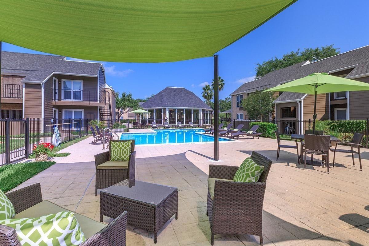 Mustang on the Trail - Photo 6 of 45