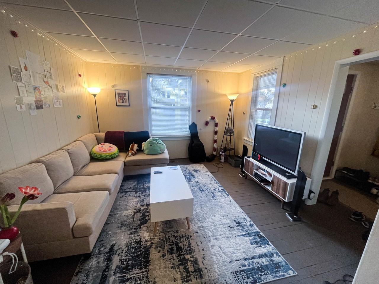 213 Cornell St #1 - Photo 3 of 24