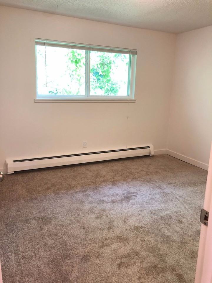 2200 Canyon - Photo 5 of 17