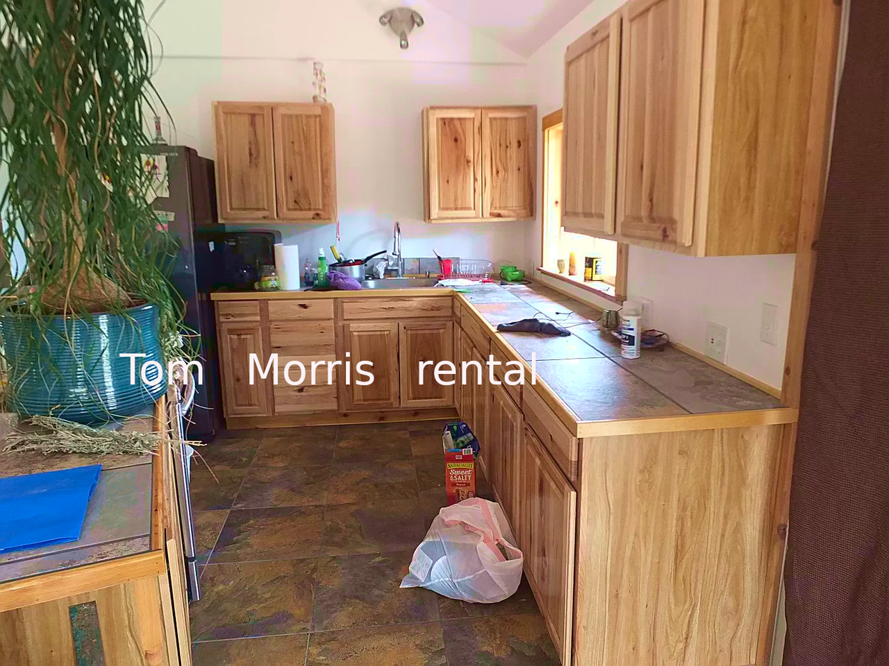 5730 Rainbow Drive - Photo 4 of 14