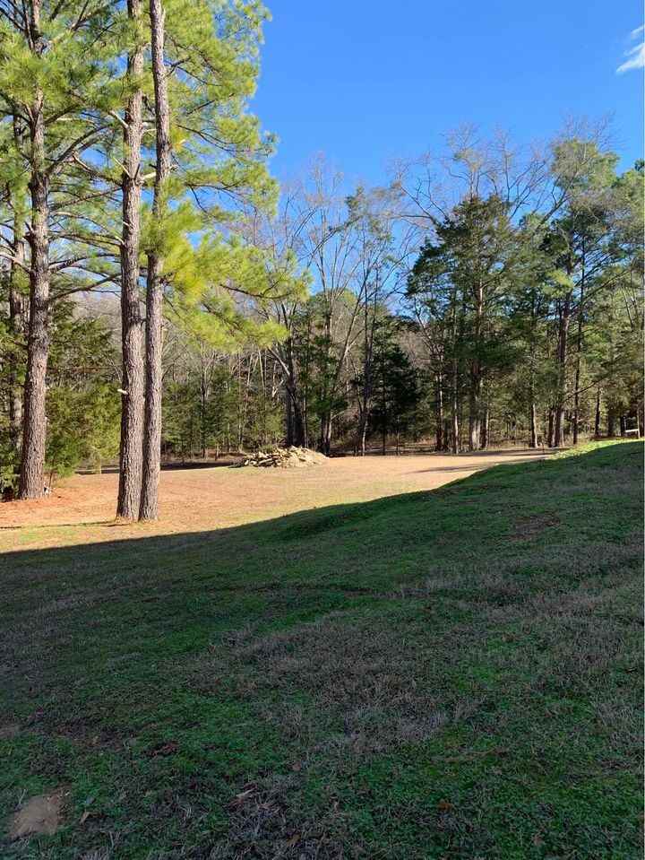 250 Dave Brown Rd #NA - Photo 2 of 14