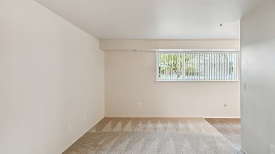 Princeton Management 3 of 4