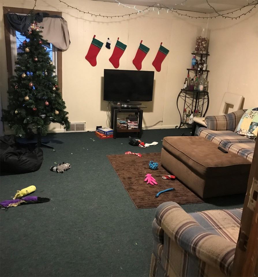 115 1st street California PA - Photo 3 of 10