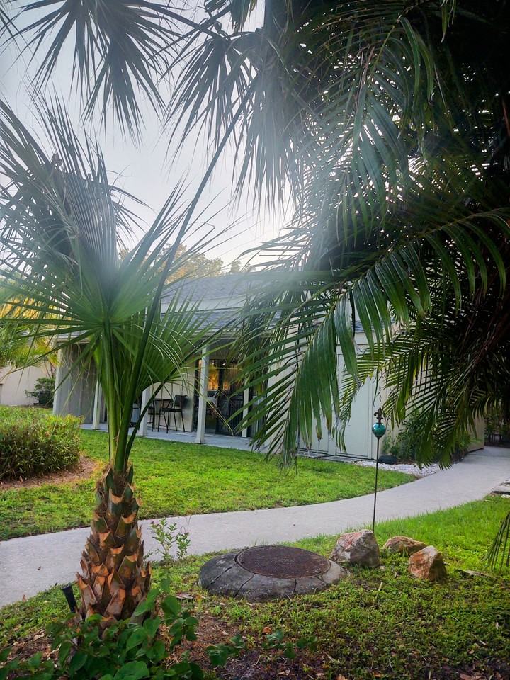 2208 Bahia Vista Street #F-1 - Photo 3 of 26