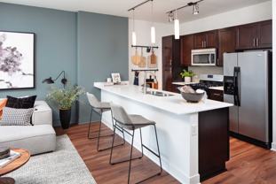 1225 North Wells Street #1-1 - Photo 1 of 1