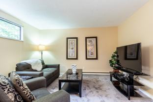 9125 Capella Drive - Photo 1 of 1