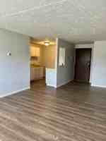 featured image of 335 Sterling Avenue