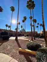 BUENAS ON THUNDERBIRD - Photo 1 of 1