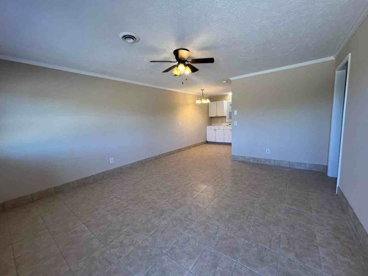 Holly Street - Photo 3 of 9